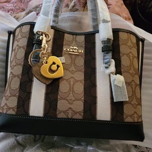 COACH "MOLLIE" JAQ MULTI COLOR  PURSE